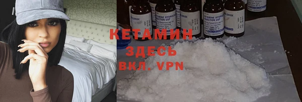 дмт Алзамай