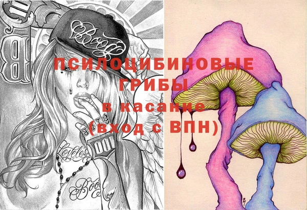 дмт Алзамай