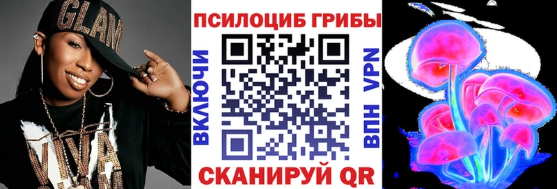 где купить наркоту  Анива  Псилоцибиновые грибы Cubensis 